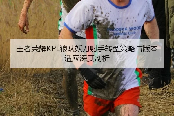王者荣耀KPL狼队妖刀射手转型策略与版本适应深度剖析