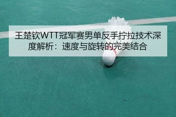 王楚钦WTT冠军赛男单反手拧拉技术深度解析：速度与旋转的完美结合