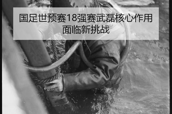 guo-zu-shi-yu-sai-qiang-sai-wu-lei-he-xin-zuo-yong-mian-lin-xin-tiao-zhan-3-930.jpg