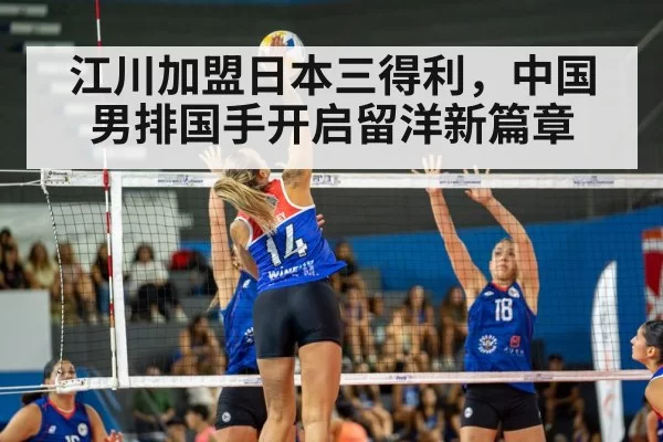 volleyball match